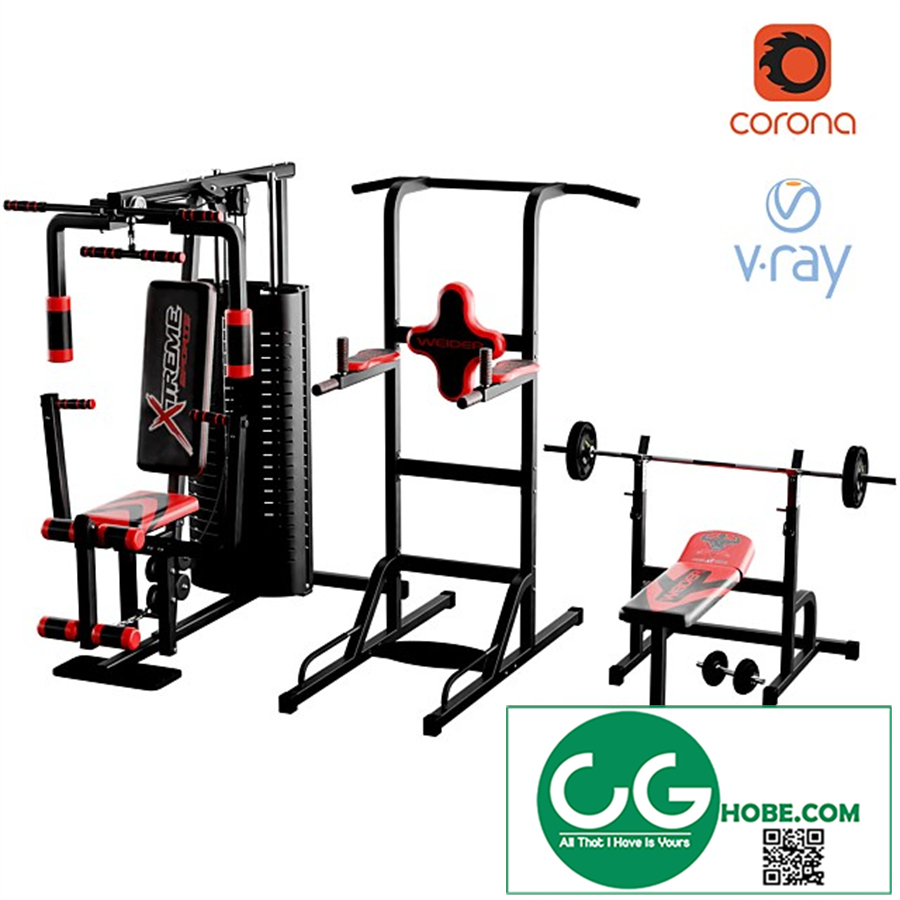 barbell dumbbell