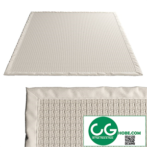 Carpet NF463A by Safavieh in sisal