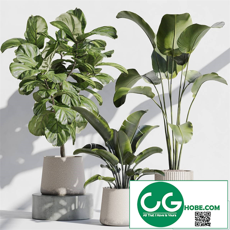 indoor plant set 67