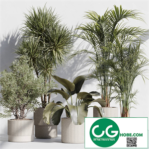indoor plant set 72