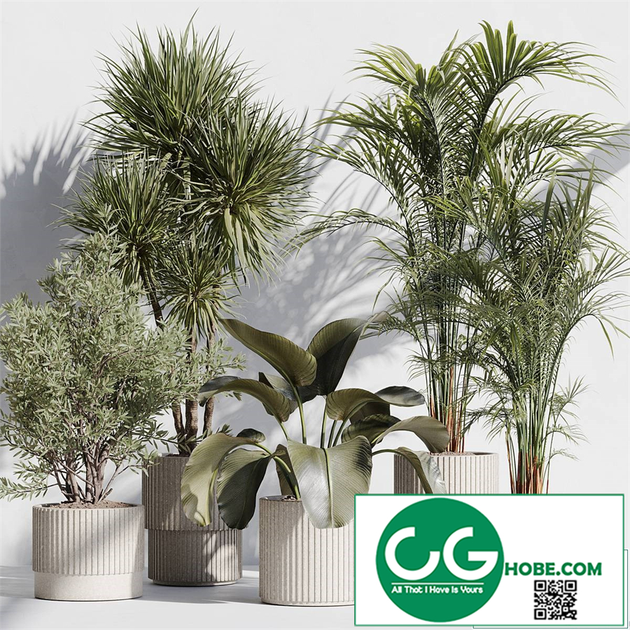indoor plant set 72