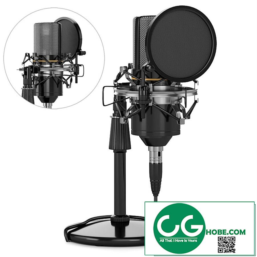 Condenser Microphone