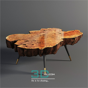 Wood slab coffee table
