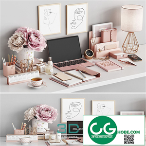 Workplace set WT 02 Rose