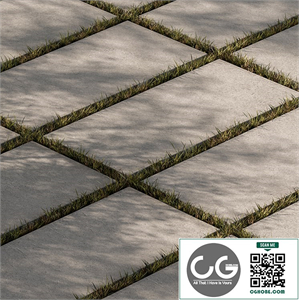 Concrete Slab with Grass - Paving 03
