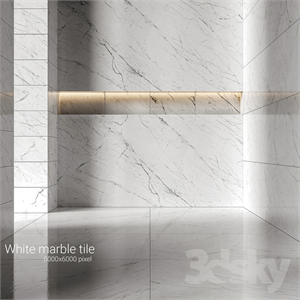White marble tiles 5