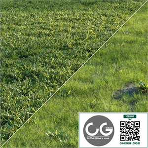 Grass Set 01