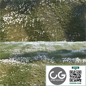Grass set 01