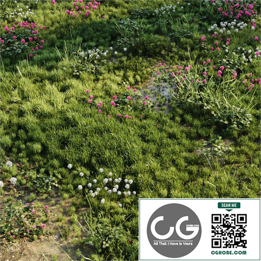 Meadow grass