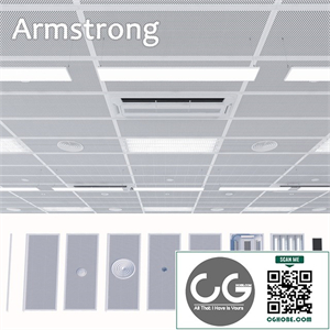 Armstrong ceiling system with a set of elements 2