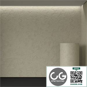 decorative plaster 25