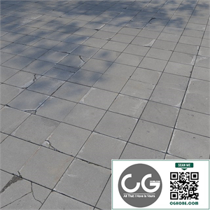 Paving stones 6