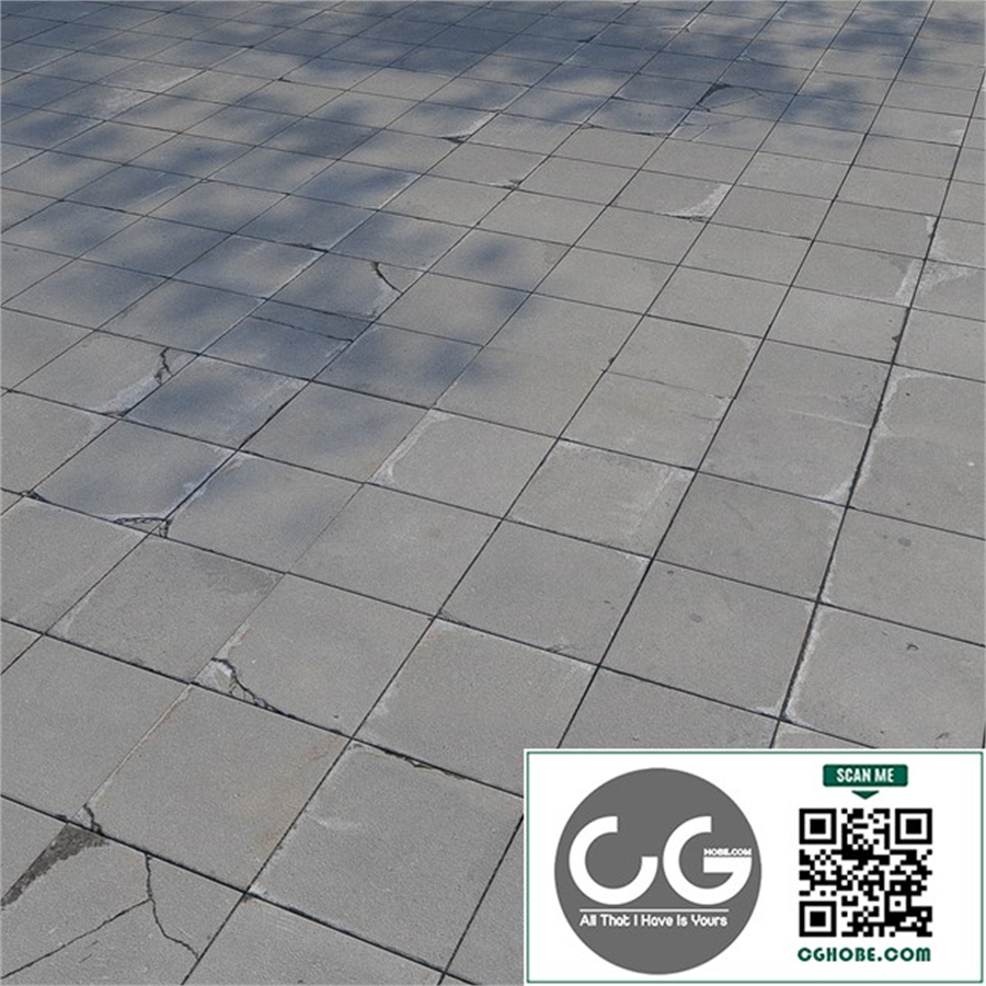 Paving stones 6