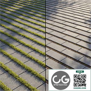 Eco-paving Type 1 Pattern 5