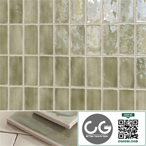 Wall ceramic tile