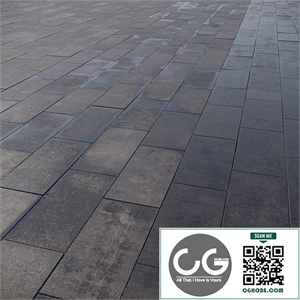 Paving slabs 600x300 mm