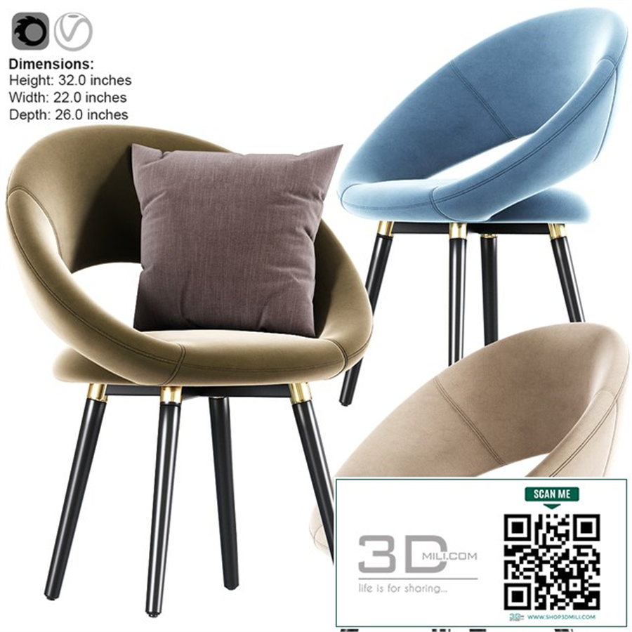 Modern Armchair With Pillow