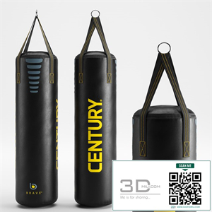 CENTURY Brave hanging Boxing bag