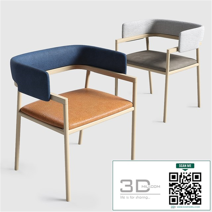 Frr Dining Chair - Modern