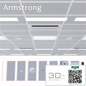 Armstrong ceiling system with a set of elements 2