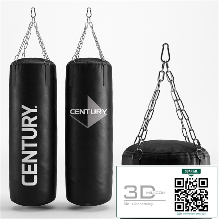 CENTURY HEAVY BAG