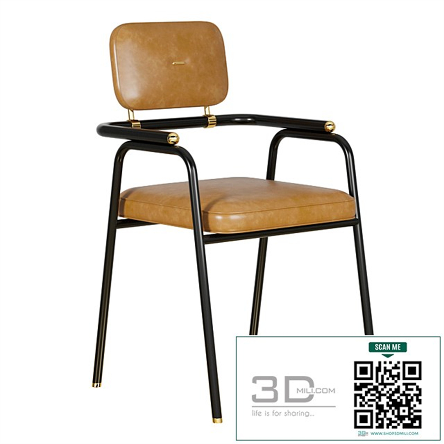 Dinning chair BERGMAN