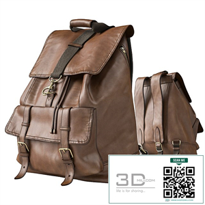Backpack Coach