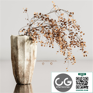 plants bouquet vase 33