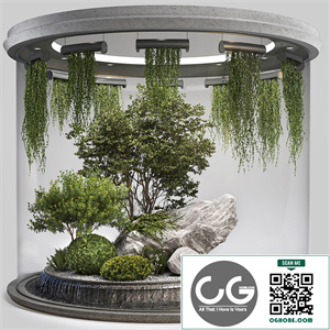 Indoor Garden 2