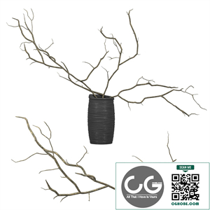 Branches in a vase