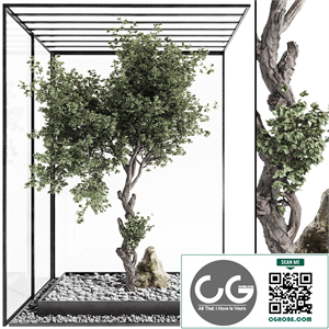Decorative Bonsai Tree