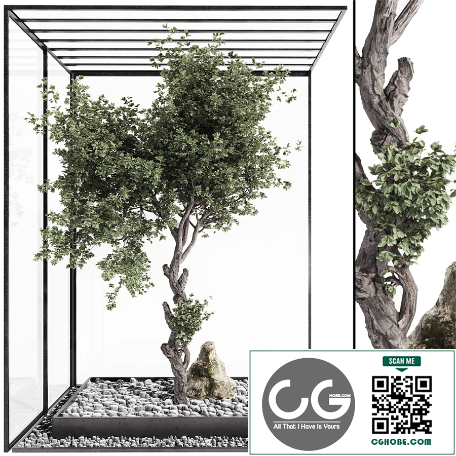 Decorative Bonsai Tree