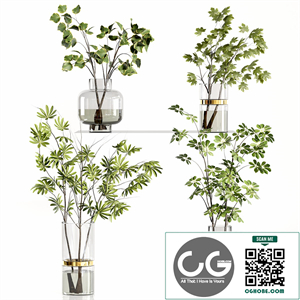 Decorative Plants 20