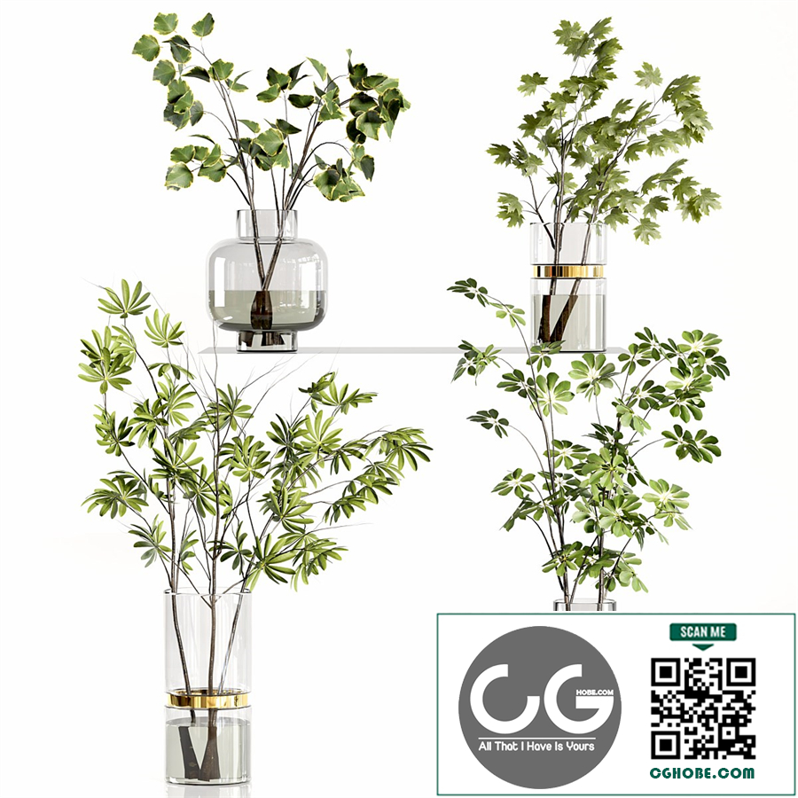 Decorative Plants 20