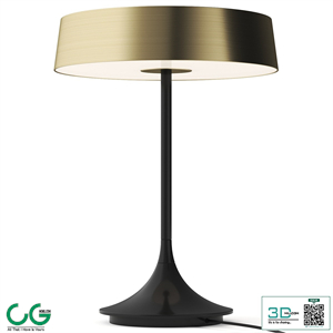 China Seed Design Table Lamp
