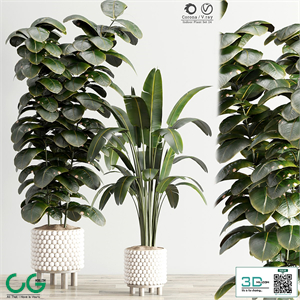 Tree 02