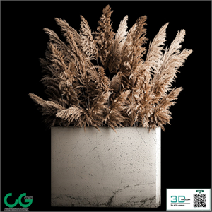 Dried flower bouquet of pampas from dry reeds in a concrete vase of pampas grass, Cortaderia. 268.
