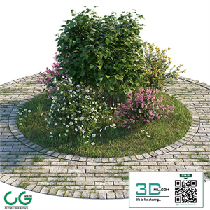 Flowerbed with bushes and grass