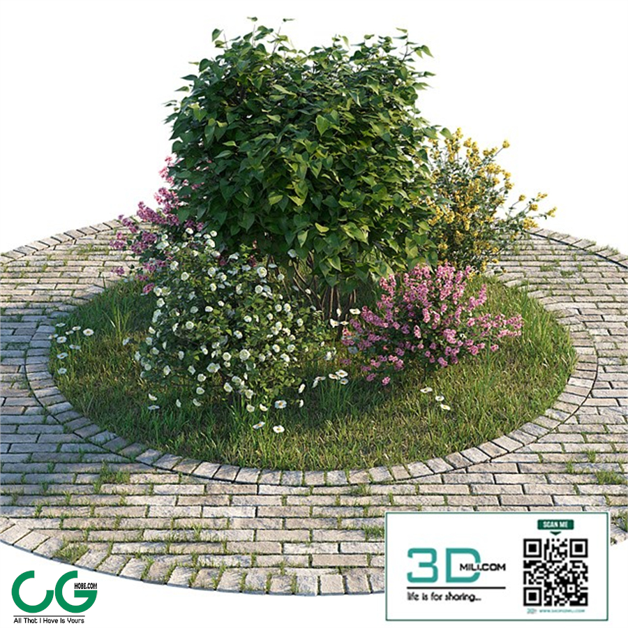 Flowerbed with bushes and grass