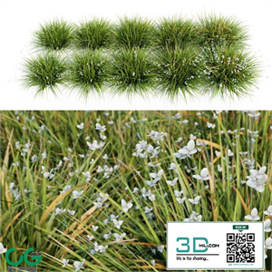 Libertia Grandiflora 10 Modular Pieces