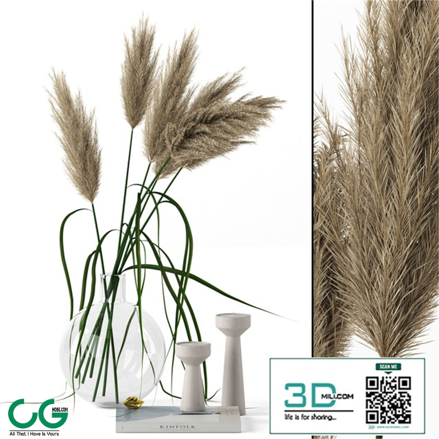Grass in round vase