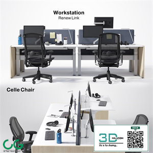 Renew Link Workstation & Celle chair