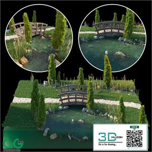 Stream and wooden bridge