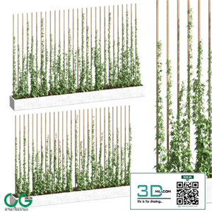 Ivy partition