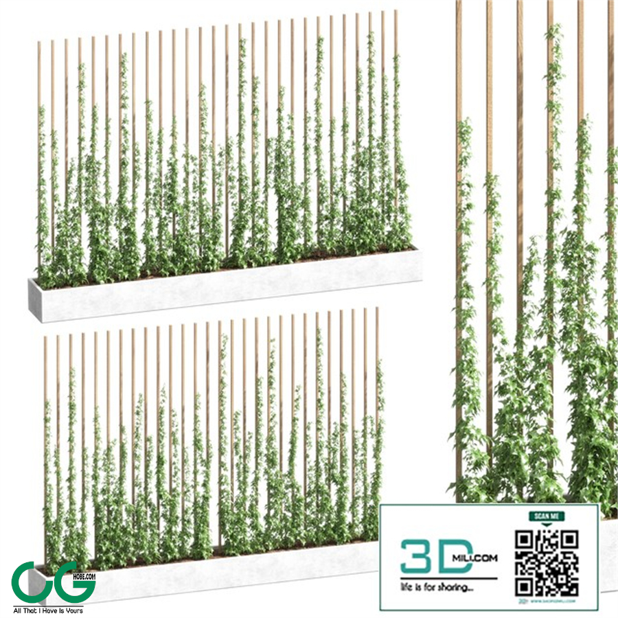 Ivy partition