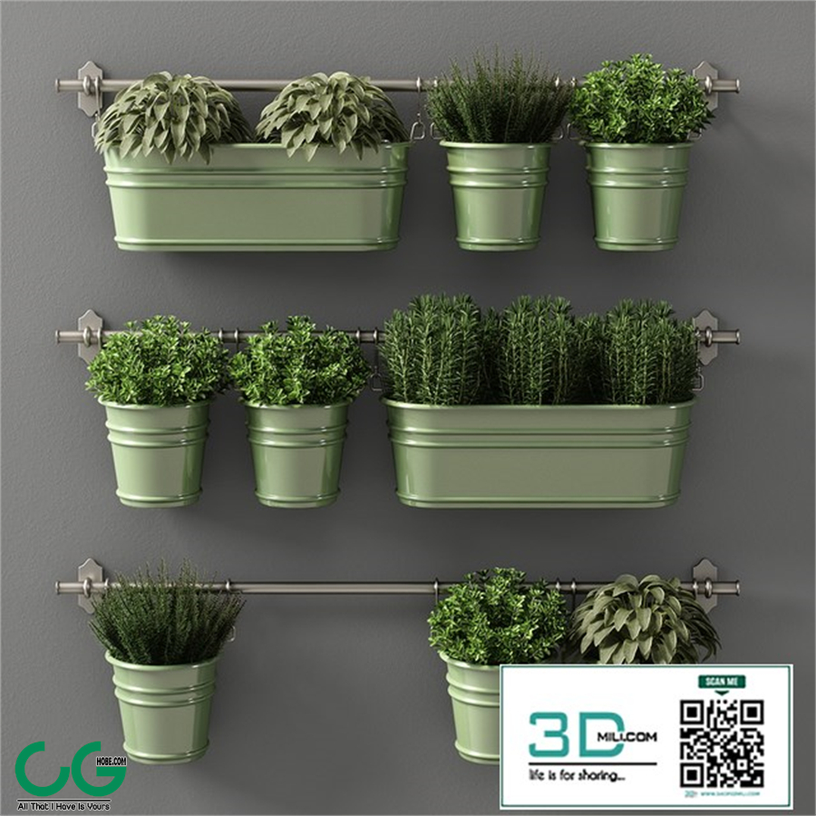 plants set 08