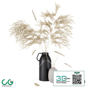 Vases set by H & M with pampas grass