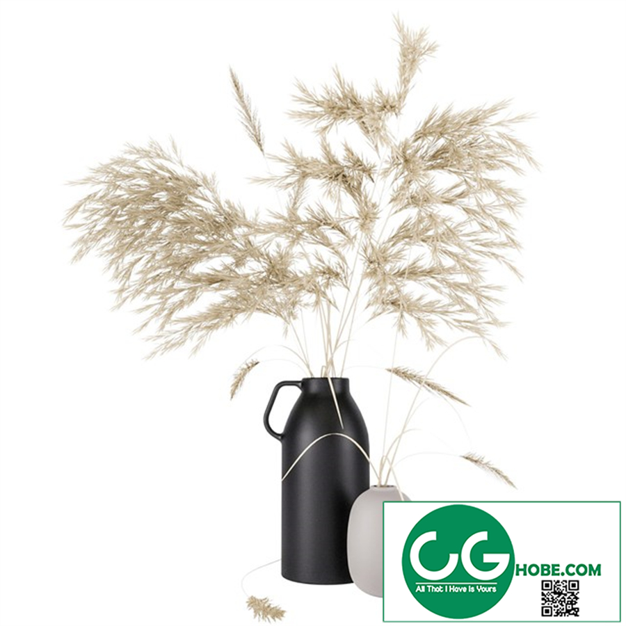 Vases set by H & M with pampas grass