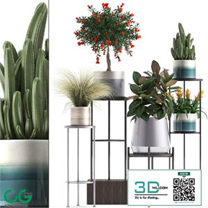 Plant collection 287