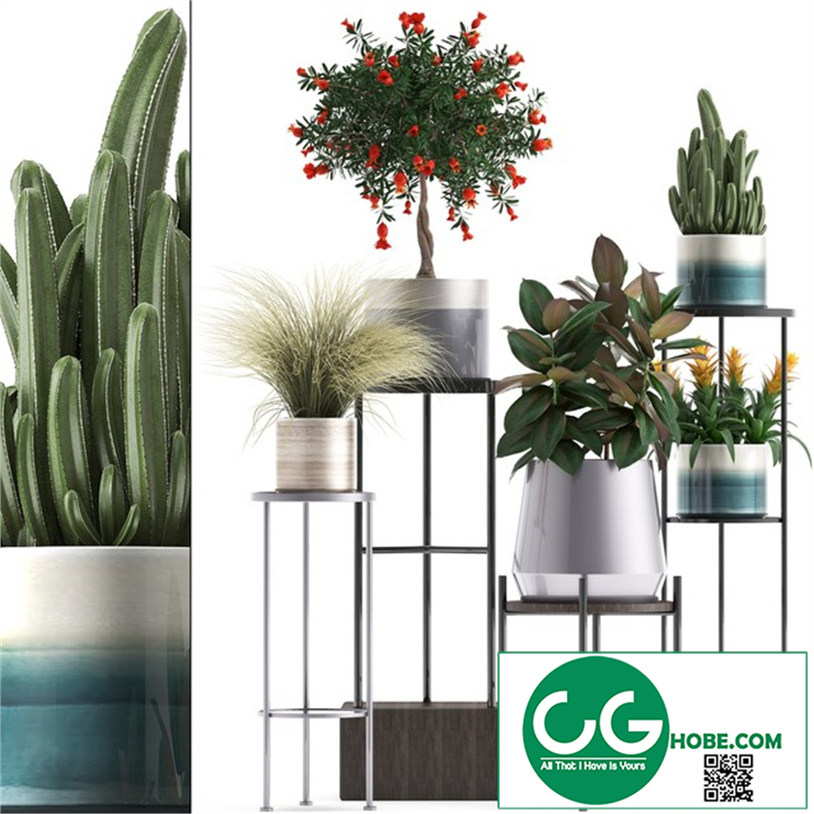 Plant collection 287